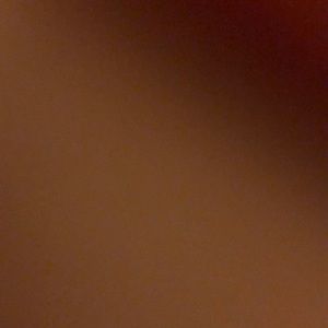 Meet your Posher, Princess